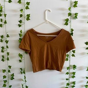 Brown Wild fable cropped tee